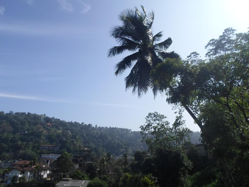 Kandy Hills מראה חיצוני תמונה